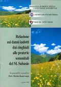 Relazione sui danni indotti dai cinghiali alle praterie sommitali del Monte Subasio