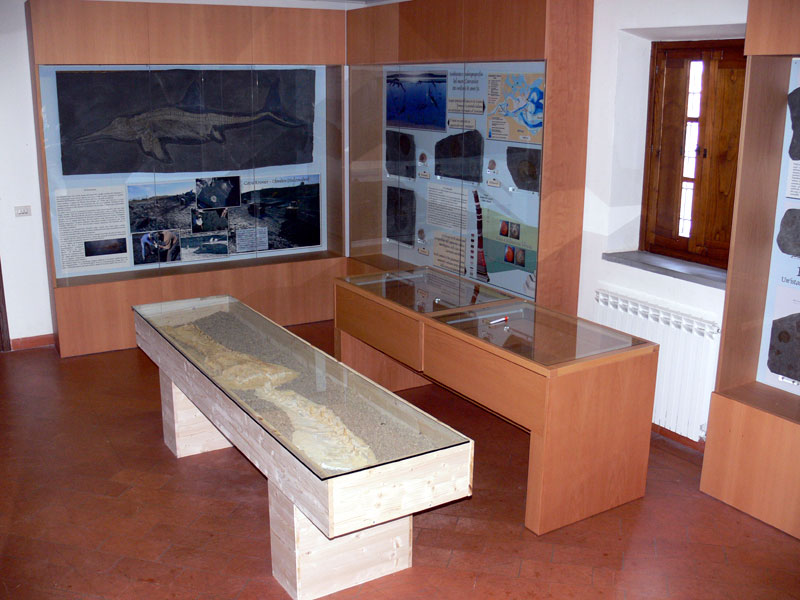Laboratorio Ecologico di Geopaleontologia presso la sede del Parco