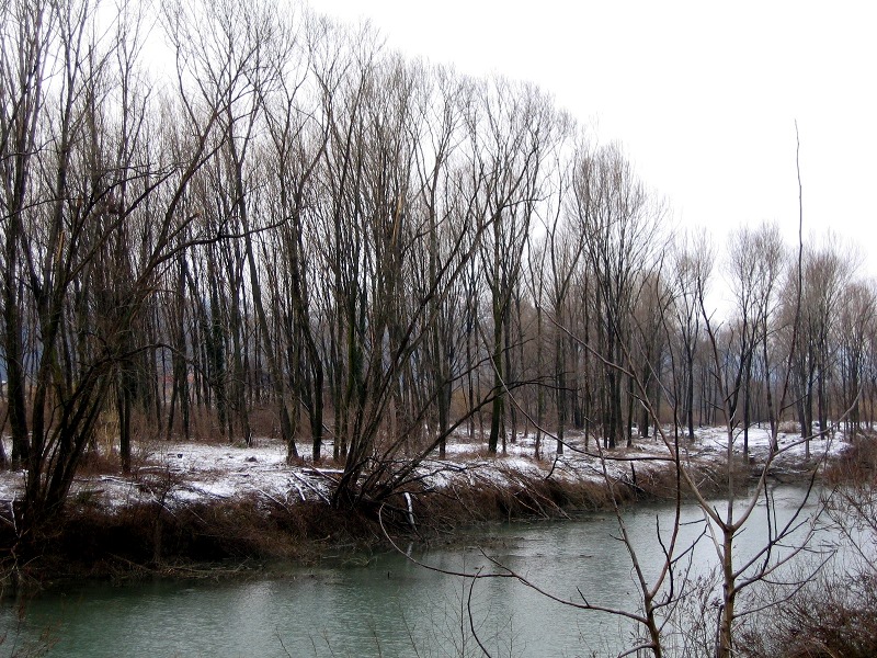 Fluß im Winter