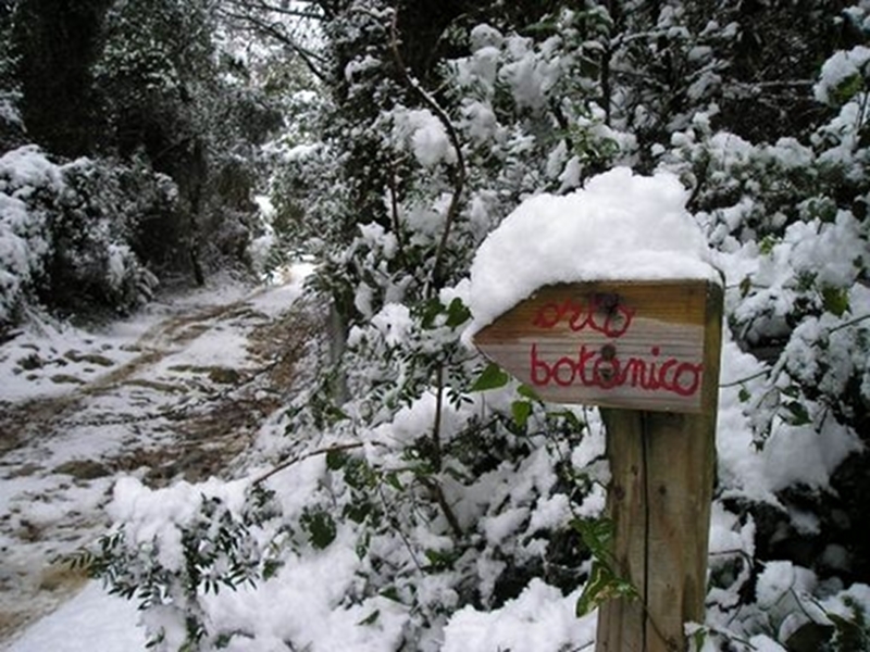 Snow-clad trail markers of the Botanic Garden