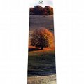 Bookmark Fondi di Jenne (autumn) - Monti Simbruini Park