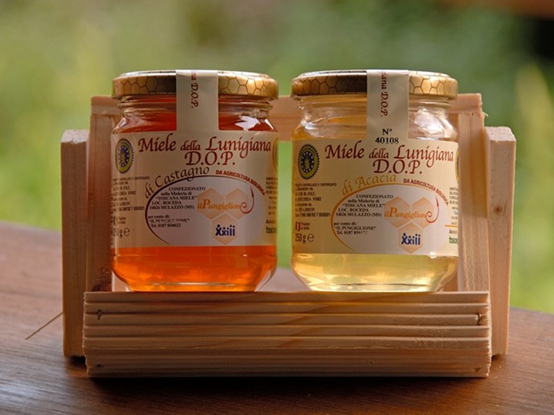 Miele della Lunigiana, il primo ed unico miele DOP in Italia