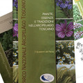 Piante, essenze e tradizioni nell'Arcipelago Toscano (Plants and traditions of the Tuscan Archipelago)