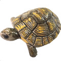 Fauna of the Park in Ceramics - Tortoise