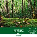 La Foresta