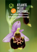 Atlante delle orchidee del Parco Nazionale delle Foreste Casentinesi, Monte Falterona, Campigna