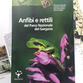 Anfibi e rettili del Parco Nazionale del Gargano