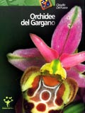 Orchidee del Gargano