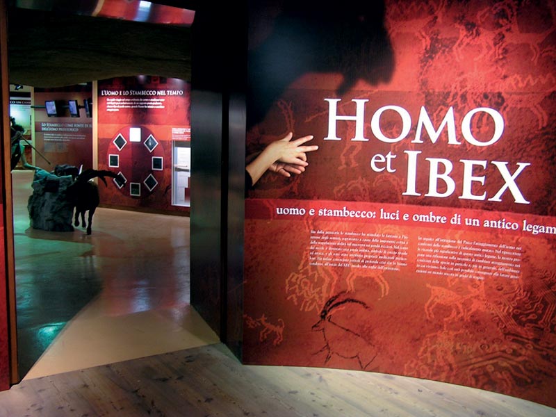 Homo et Ibex