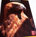 Striped Notebook MAXI Pigna - Golden Eagle