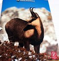 Striped Notebook MAXI Pigna - Chamois of the Apennines