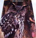 Checked Notebook MAXI Pigna - Eurasian Eagle-owl