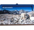3D Picture/Postcard in MDF with Box - Abruzzi Sheepdog in Gran Sasso d'Italia