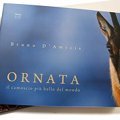 Ornata. Il camoscio più bello del mondo