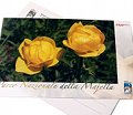 Postcard Globe Flower