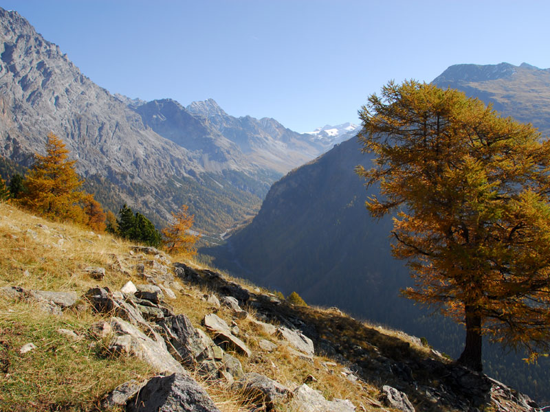 Val Zebrù in autunno - Archivio PNS - Foto di W. Anselmi