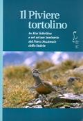 Il Piviere tortolino in Alta Valtellina e nel settore lombardo del Parco Nazionale dello Stelvio