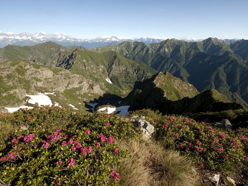 Gipfel und Gebirgskämme: Ausblick über Val Grande