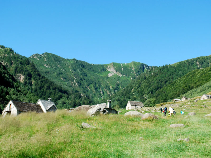 Incontro al parco: sui sentieri antichi... con occhi nuovi