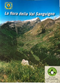 La flora della Val Sanguigno