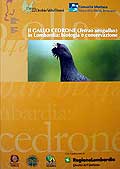 Il Gallo Cedrone (Tetrao urogallus) in Lombardia: biologia e conservazione