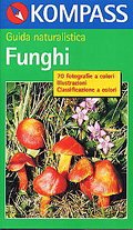 Funghi - Mushrooms