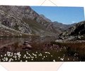 Carte postale "Il Lago Lausetto - Valle Po"