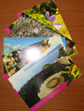 Set of 10 Postcards dedicated to the Landscapes of Porto Conte Park