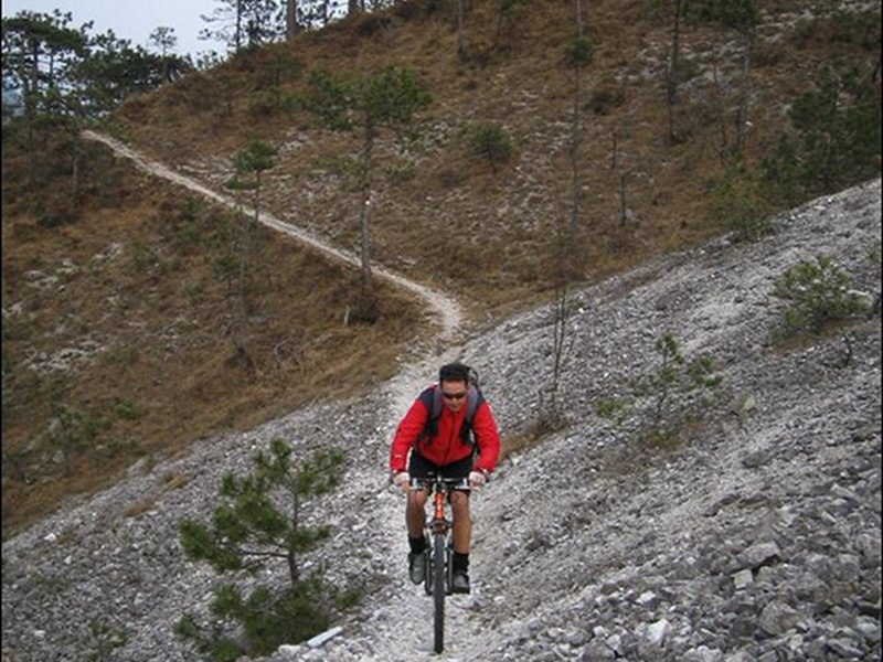 Noleggio mountain bike