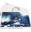 Cartolina del Parco delle Prealpi Giulie - Cincia dal ciuffo
