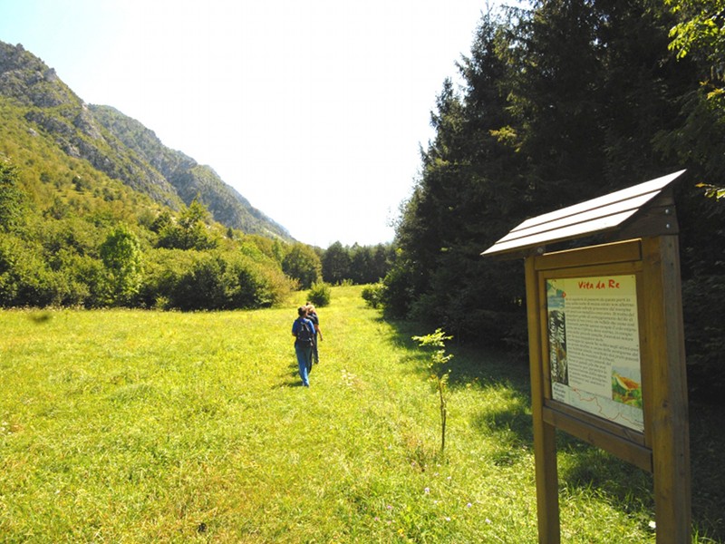 Sentiero natura Valle Musi