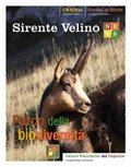 Sirente Velino News