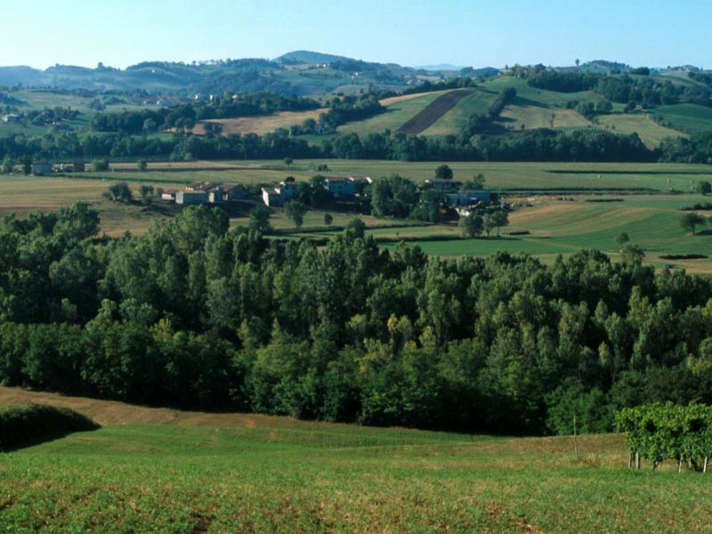 The agricultural landscape with the first hills