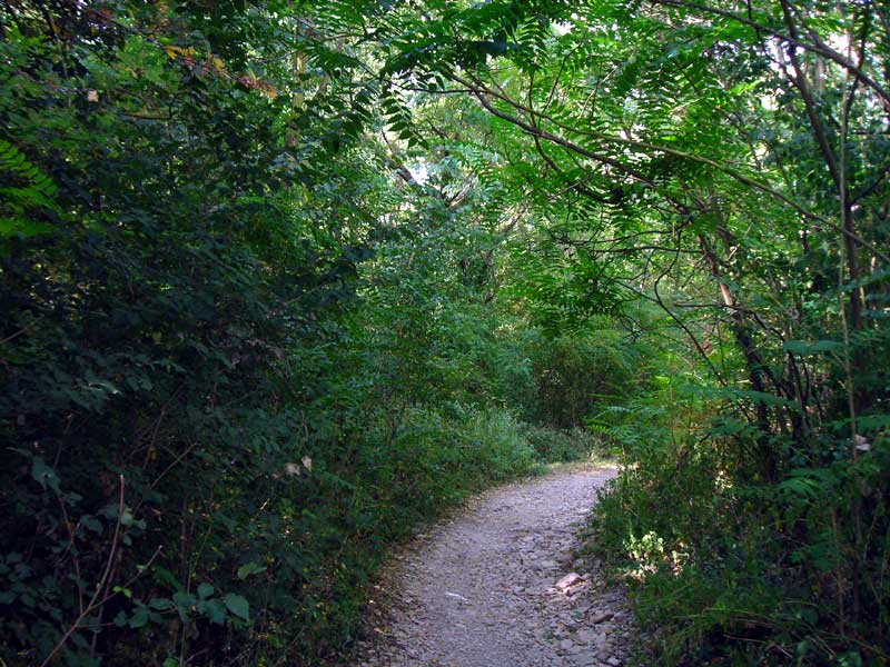 Bocca Trail