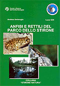 Anfibi e Rettili del Parco dello Stirone