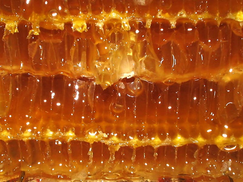 Honig aus dem Gebirgskamm des Apennins