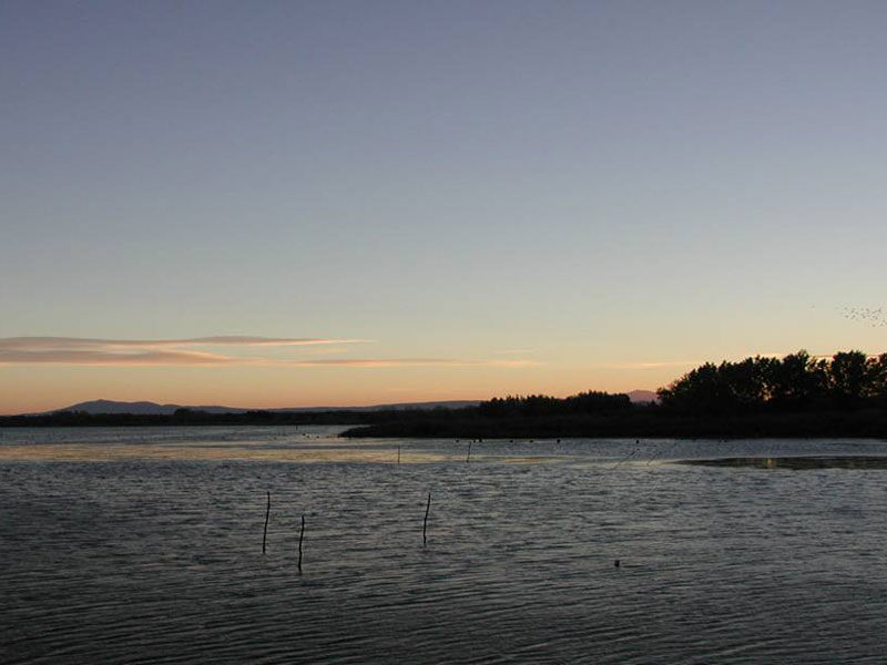 Panorama of the lake