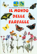 Il mondo delle farfalle