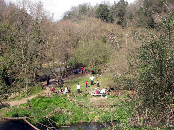 Environmental Education in the Park