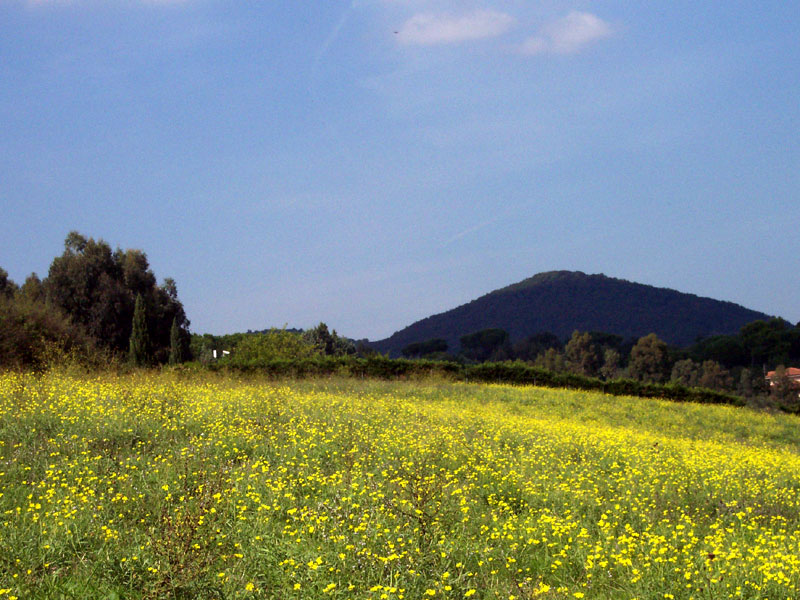 Monte Musino (m. 389)