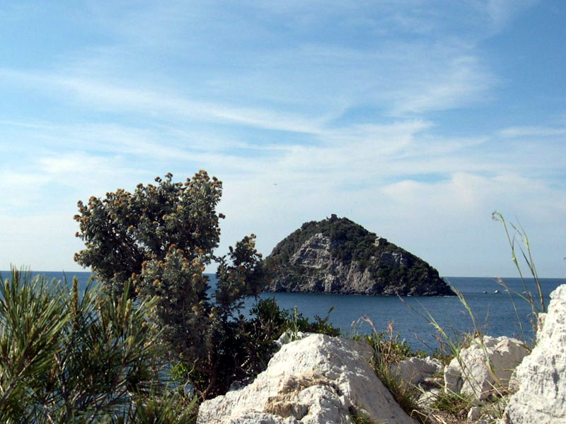 View of the Island