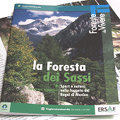 Itinerari tematici n. 8 - La foresta dei sassi