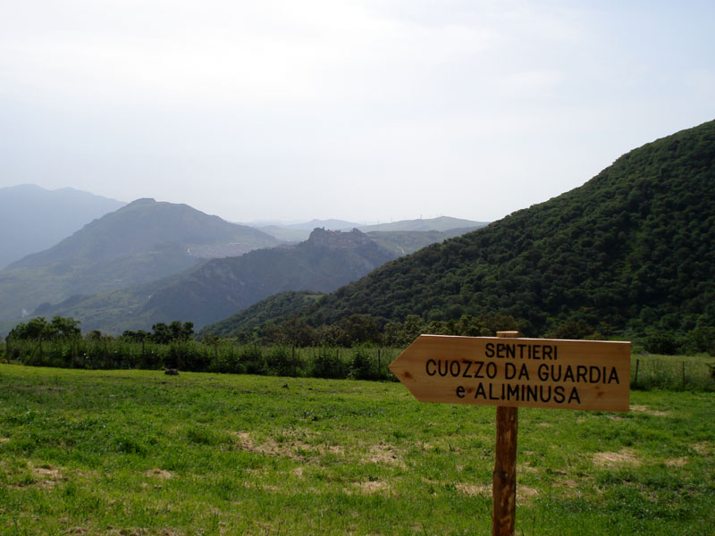 Foto di La Riserva Naturale Orientata Bosco di Favara e Bosco Granza