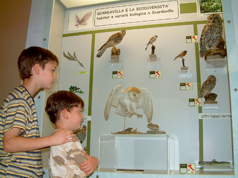 Museo di Ecologia