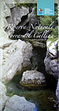 Guida illustrata Riserva naturale Forra del Cellina