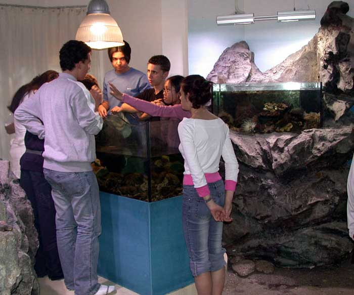 Miramare Visitor Center