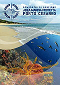 Opuscolo Area Marina Protetta Porto Cesareo