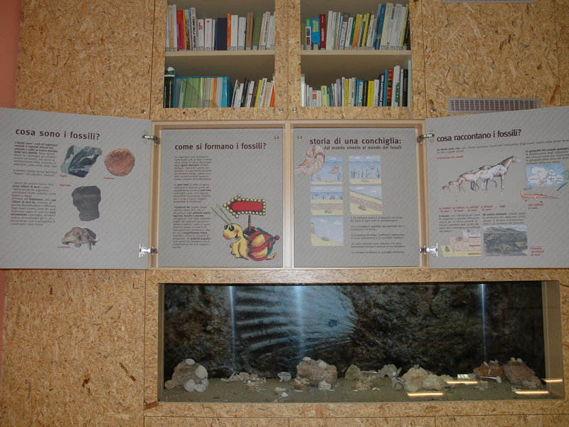 Museo paleontologico Silvio Lai - particolare dell'allestimento espositivo