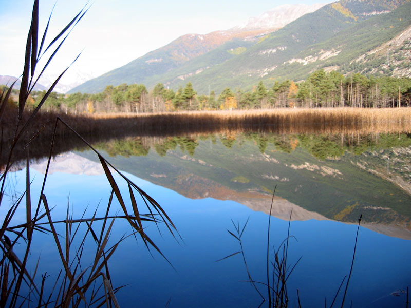 Photo by The Fauna of Borello Lake