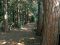 Nature Trail &#34;La Selva&#34;